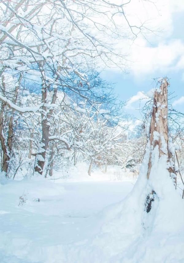 Whoseman-11-國民男友-阿部